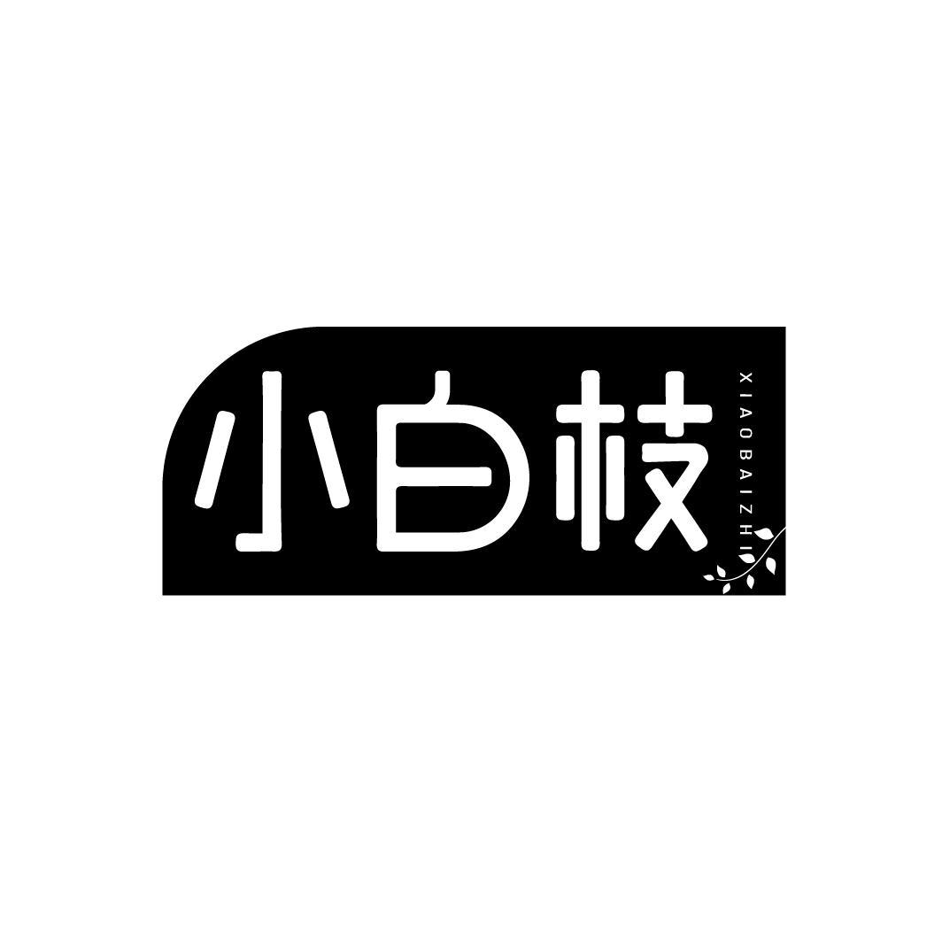 小白枝
XIAOBAIZHI