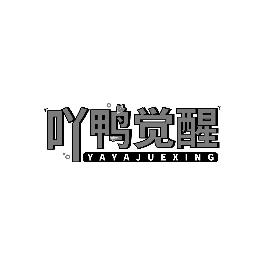 吖鸭觉醒 YAYAJUEXING