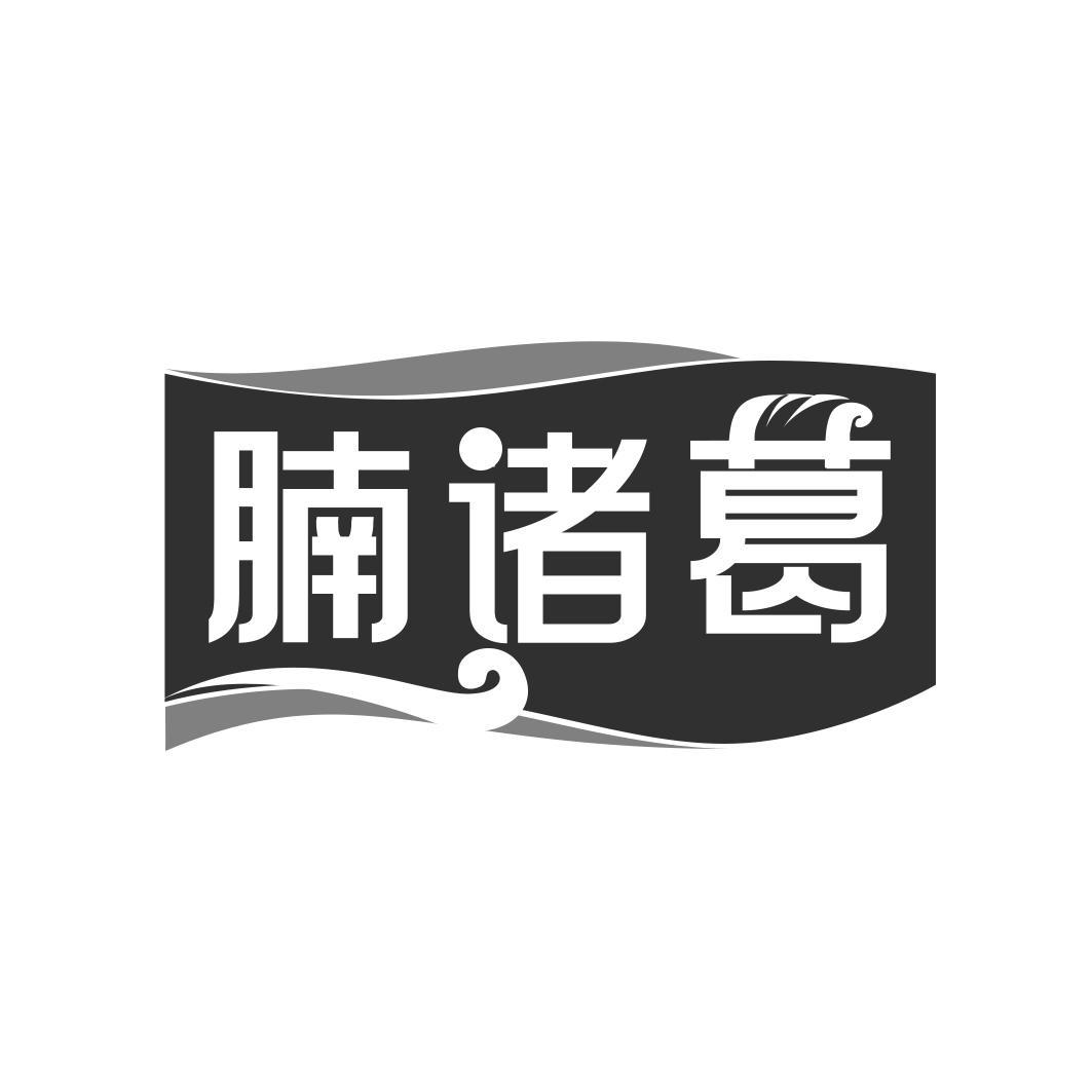 腩诸葛