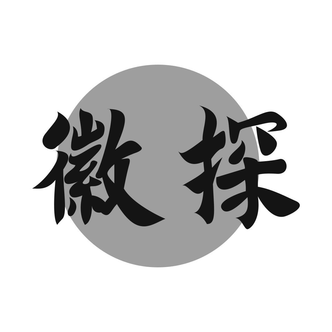 徽探
