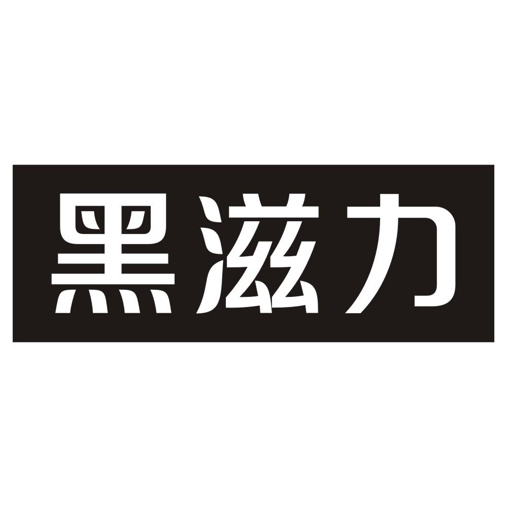 黑滋力