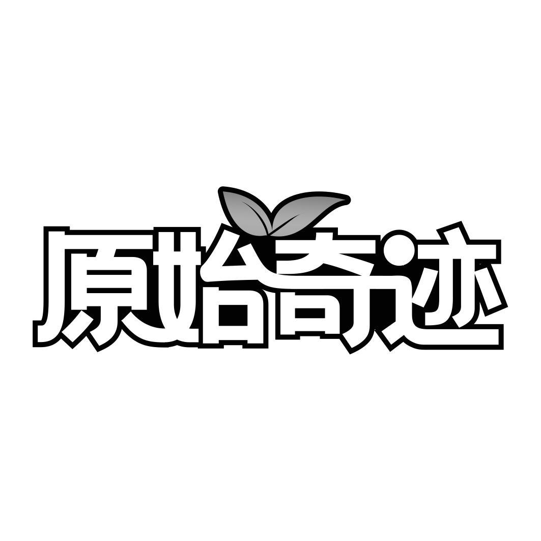 原始奇迹
