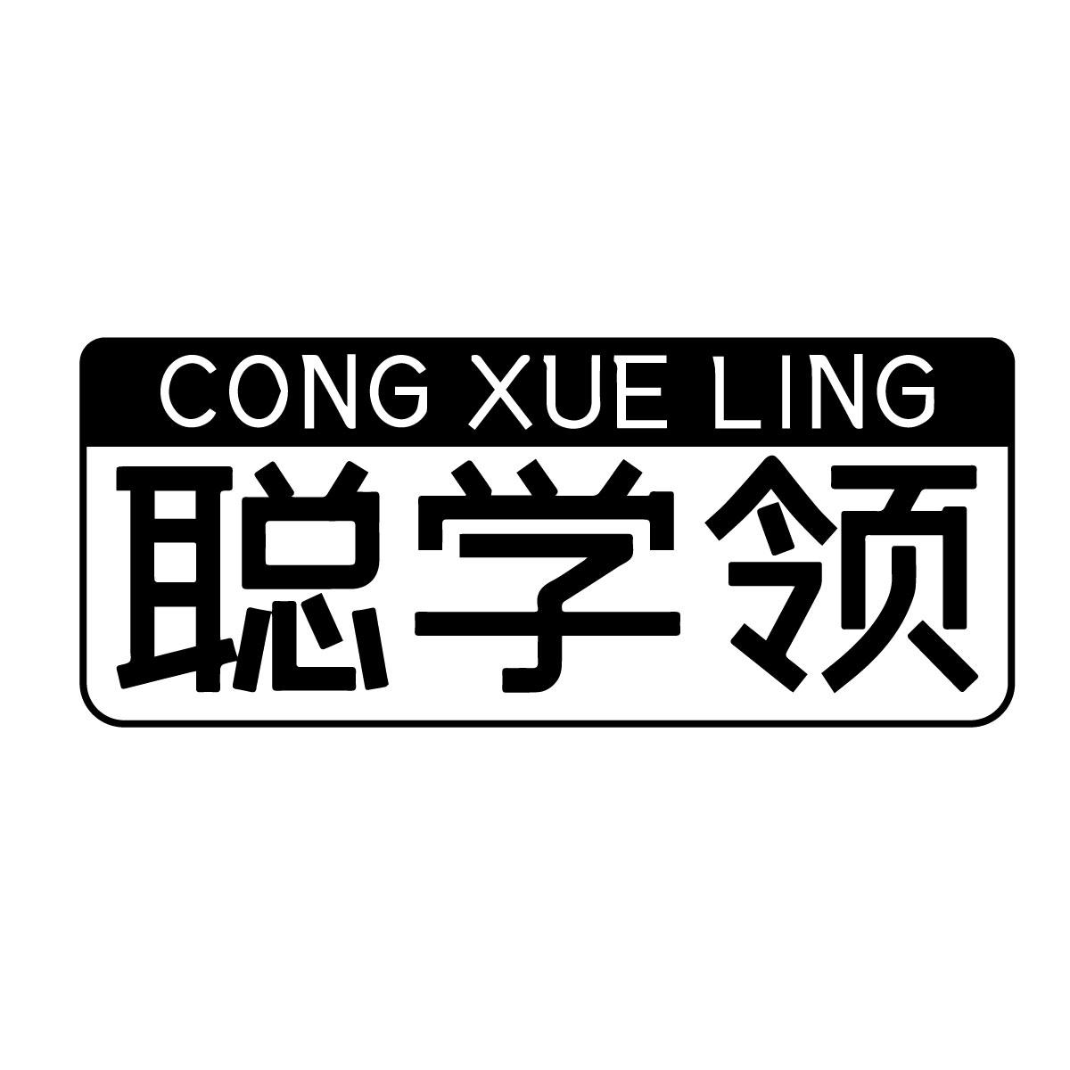 聪学领