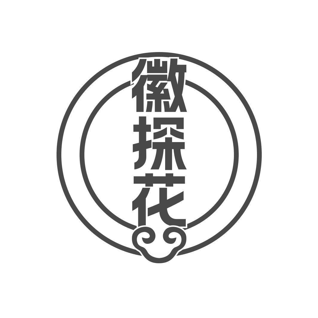 徽探花