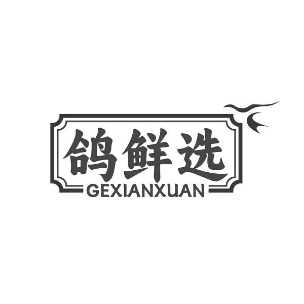 鸽鲜选