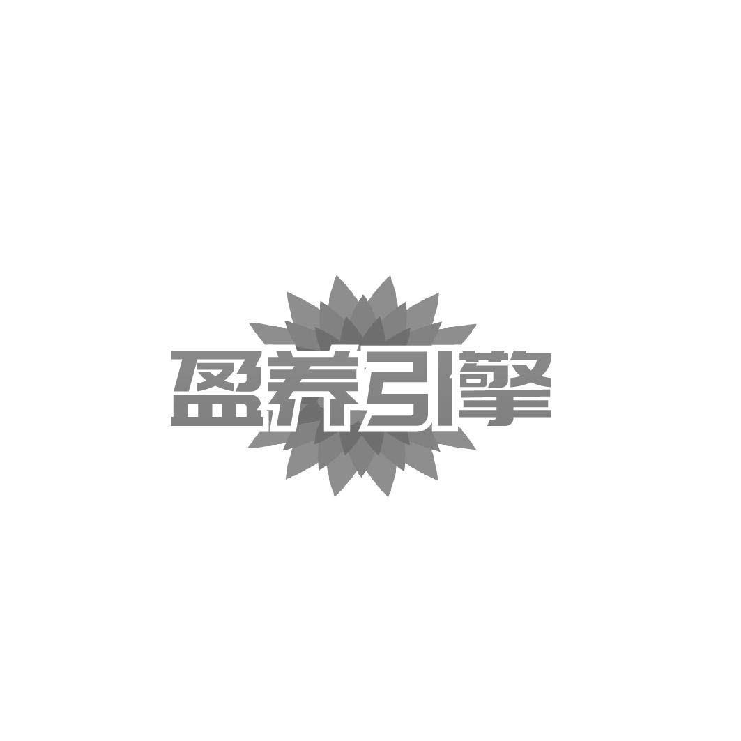 盈养引擎