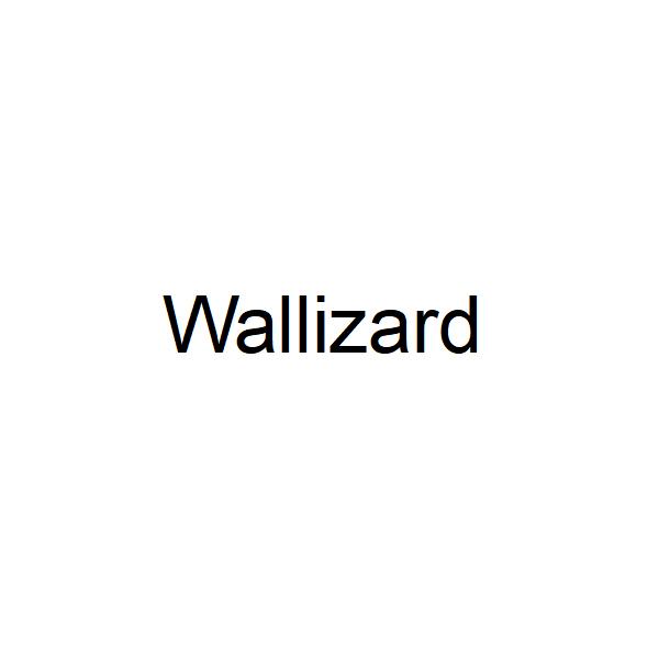 WALLIZARD