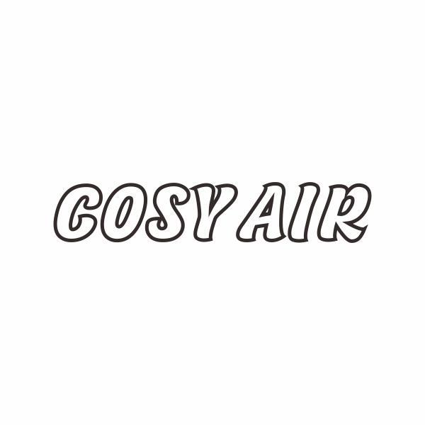 COSY AIR