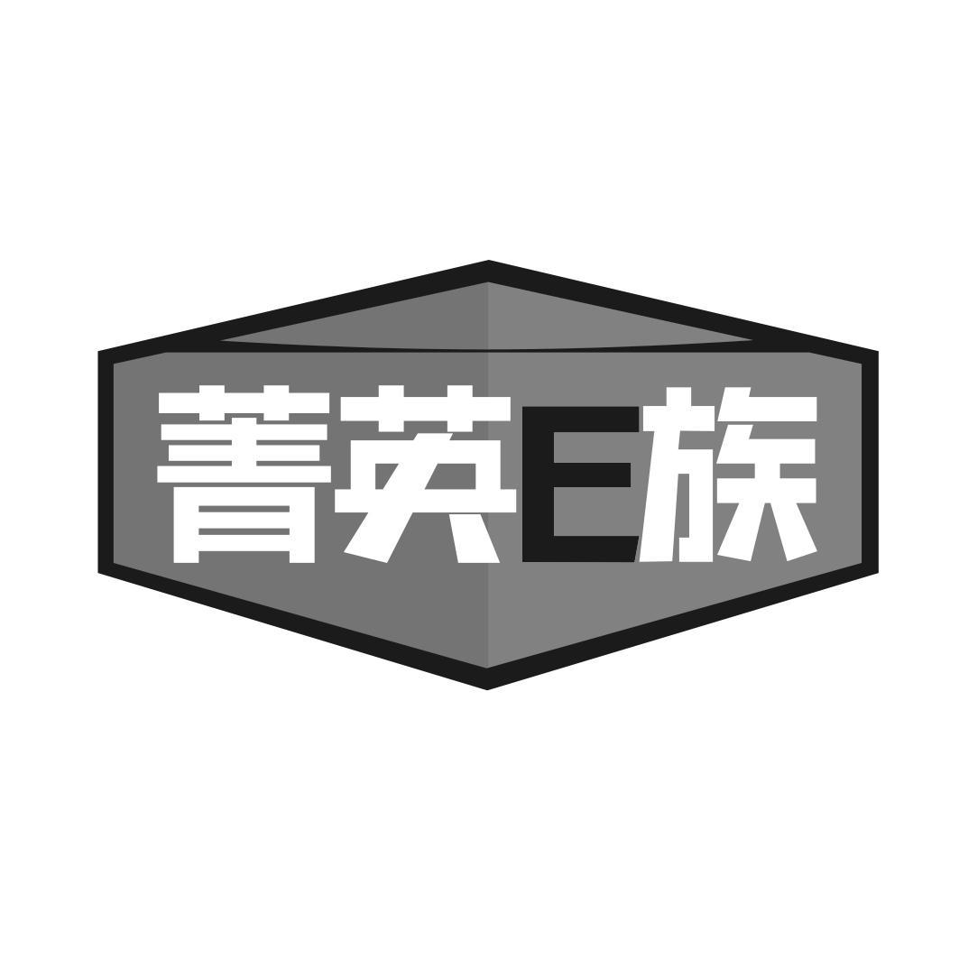 菁英E族
