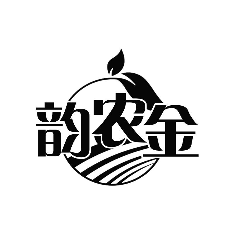 韵农金