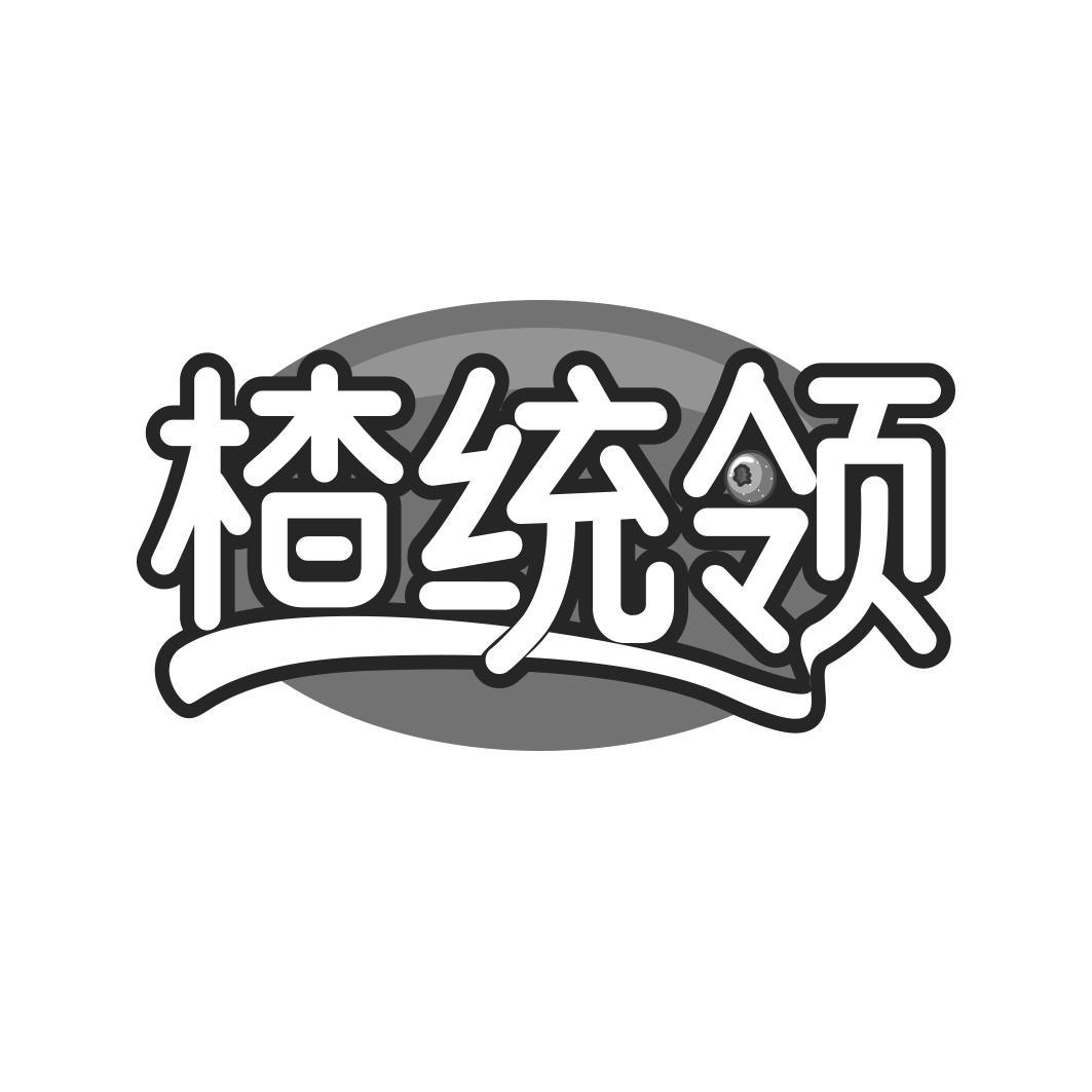 楂统领