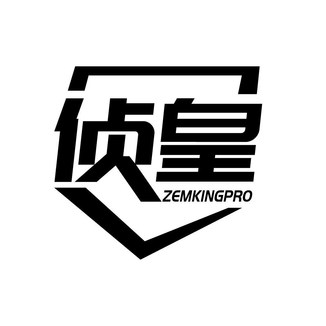 侦皇  ZEMKINGPRO