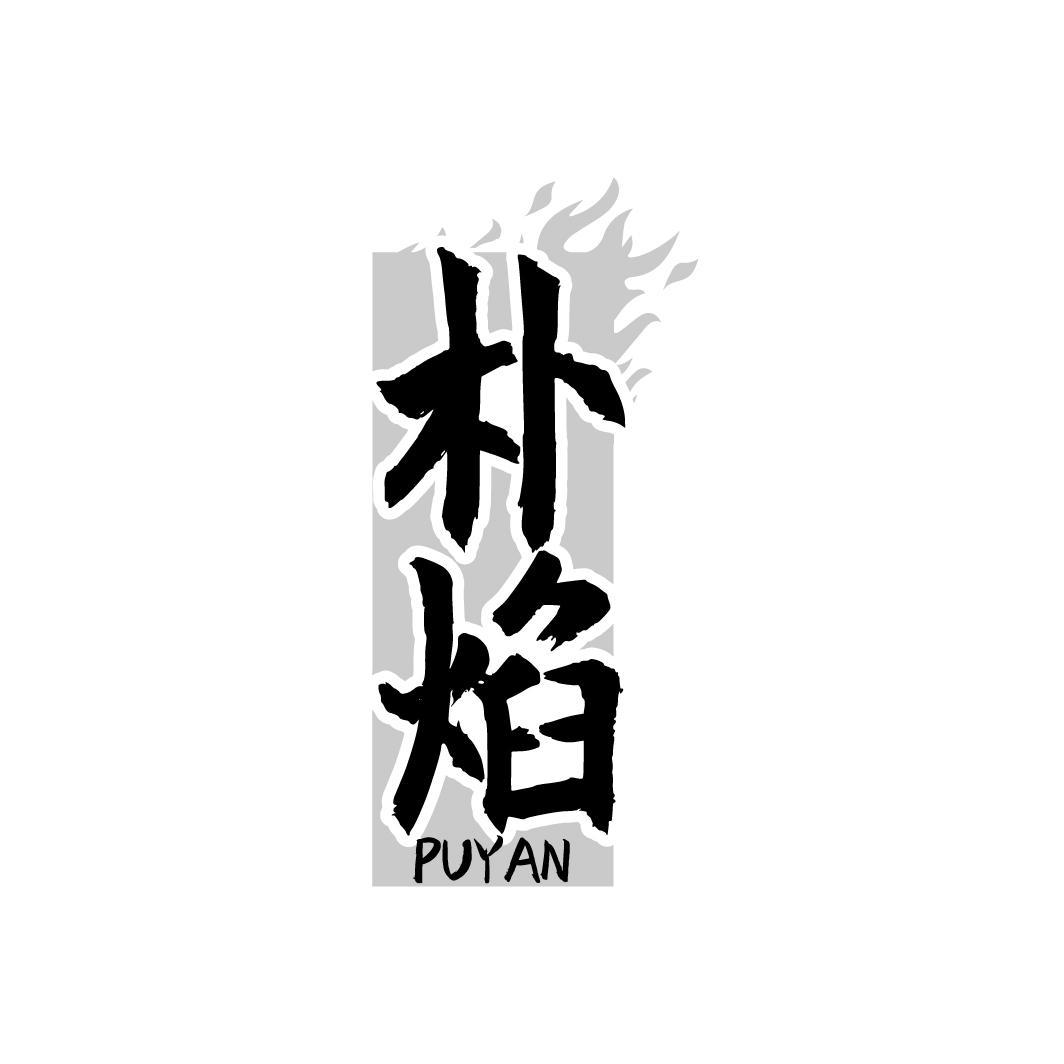 朴焰        PUYAN