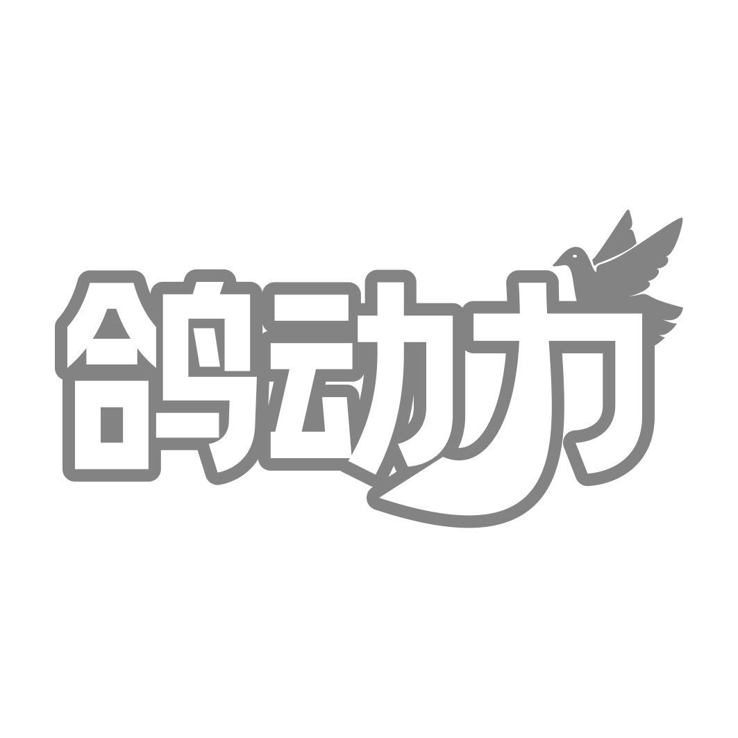 鸽动力