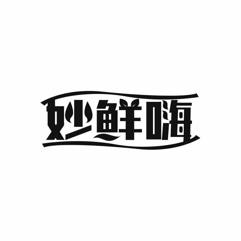妙鲜嗨