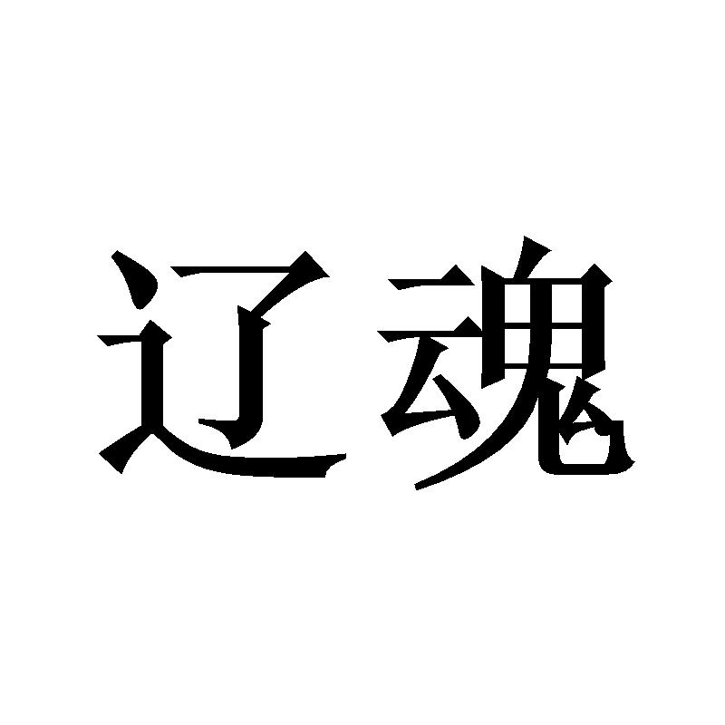 辽魂
