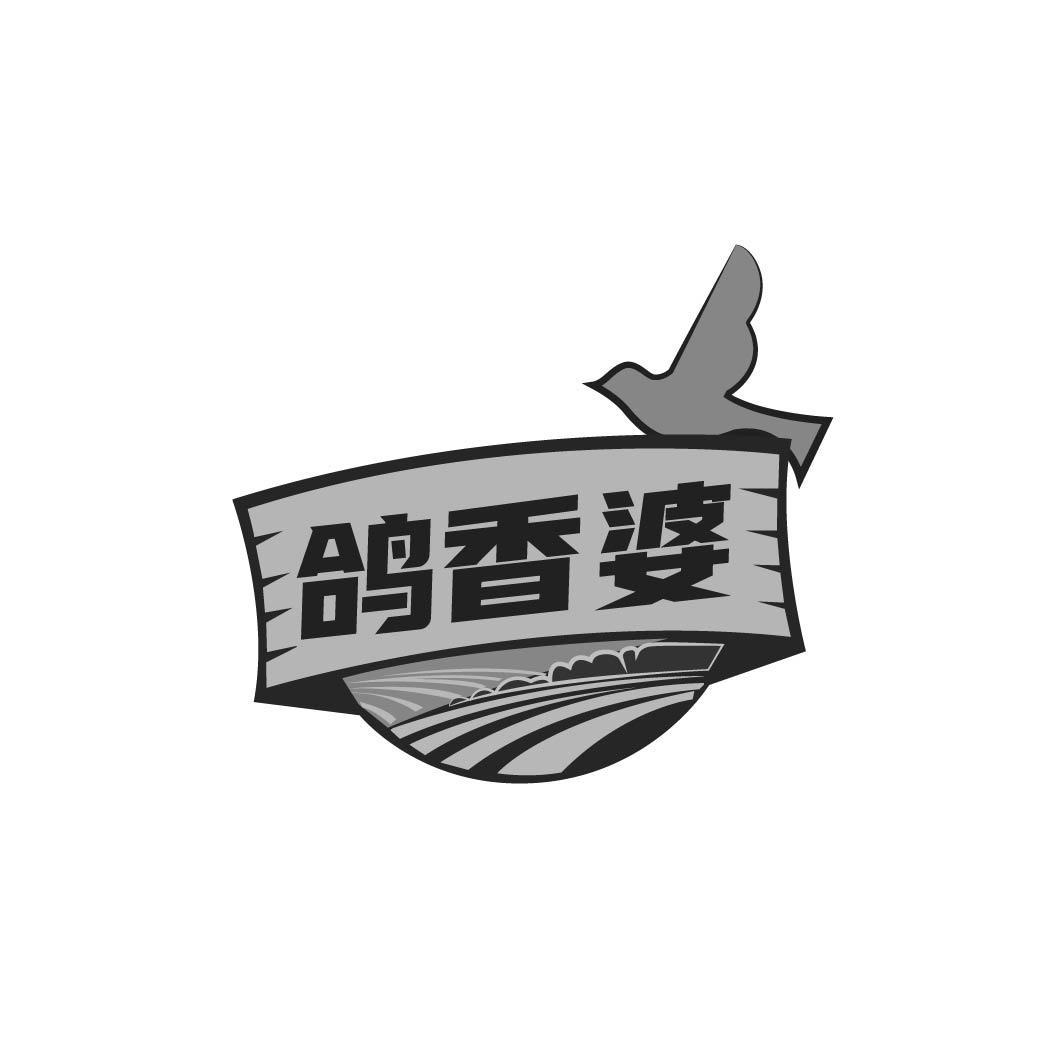 鸽香婆