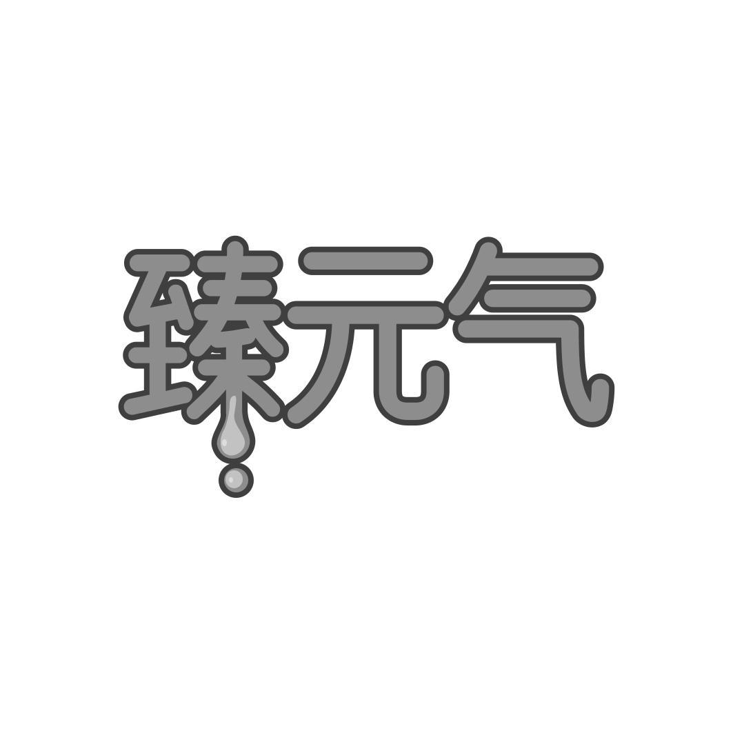 臻 气