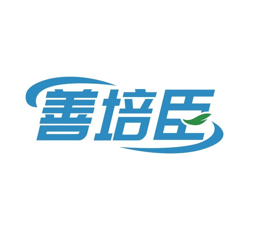 善培臣
