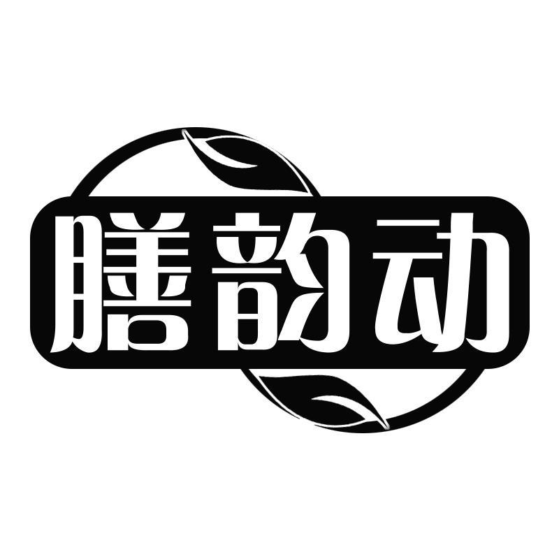 膳韵动