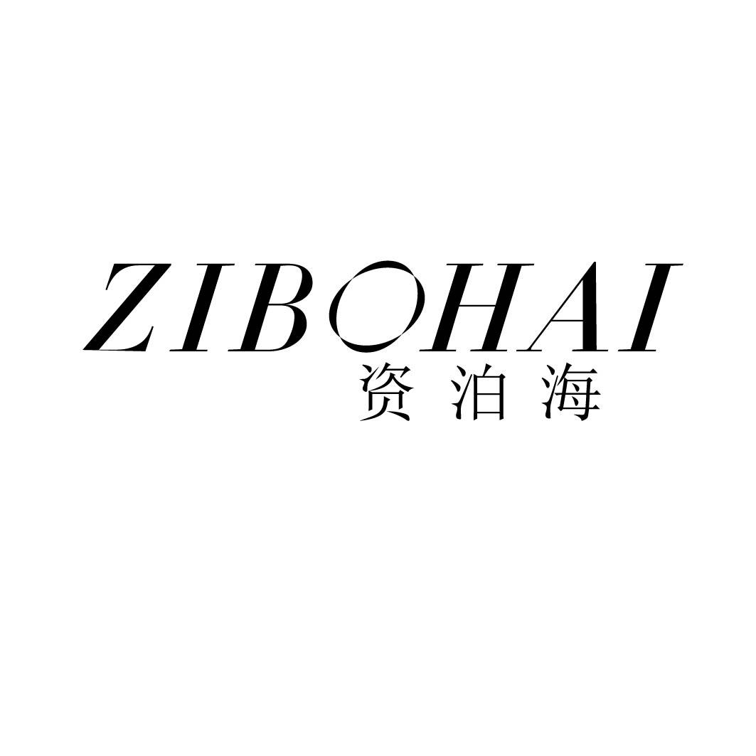 资泊海