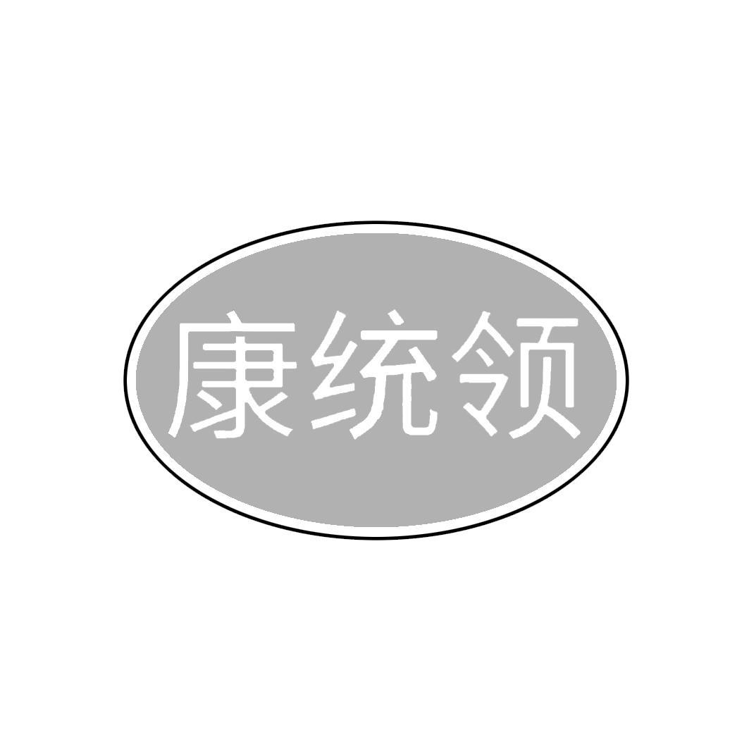 康统领