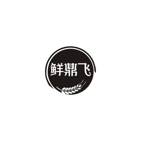 鲜鼎飞