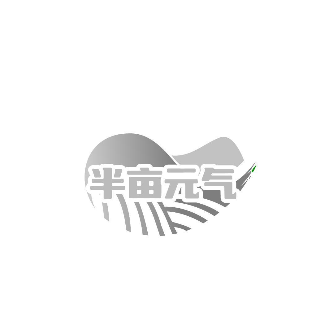 半亩 气