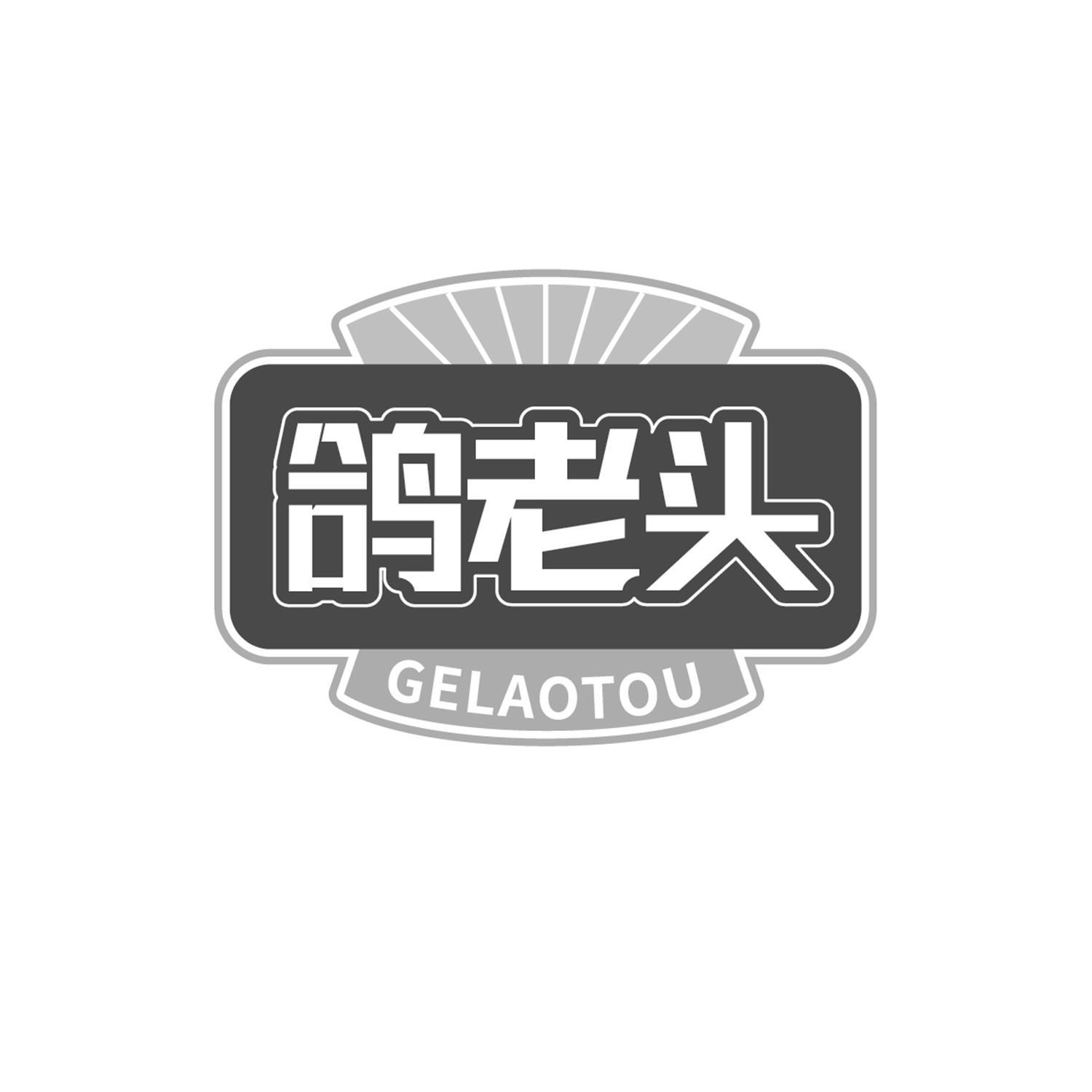 鸽老头