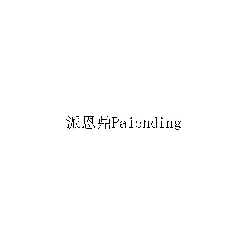 派恩鼎