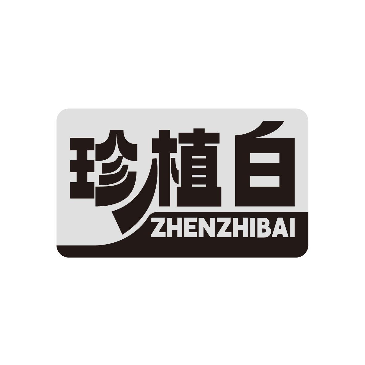 珍植白
ZHENZHIBAI