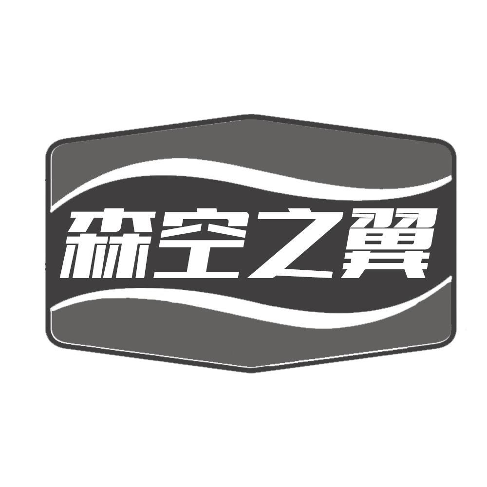森空之翼