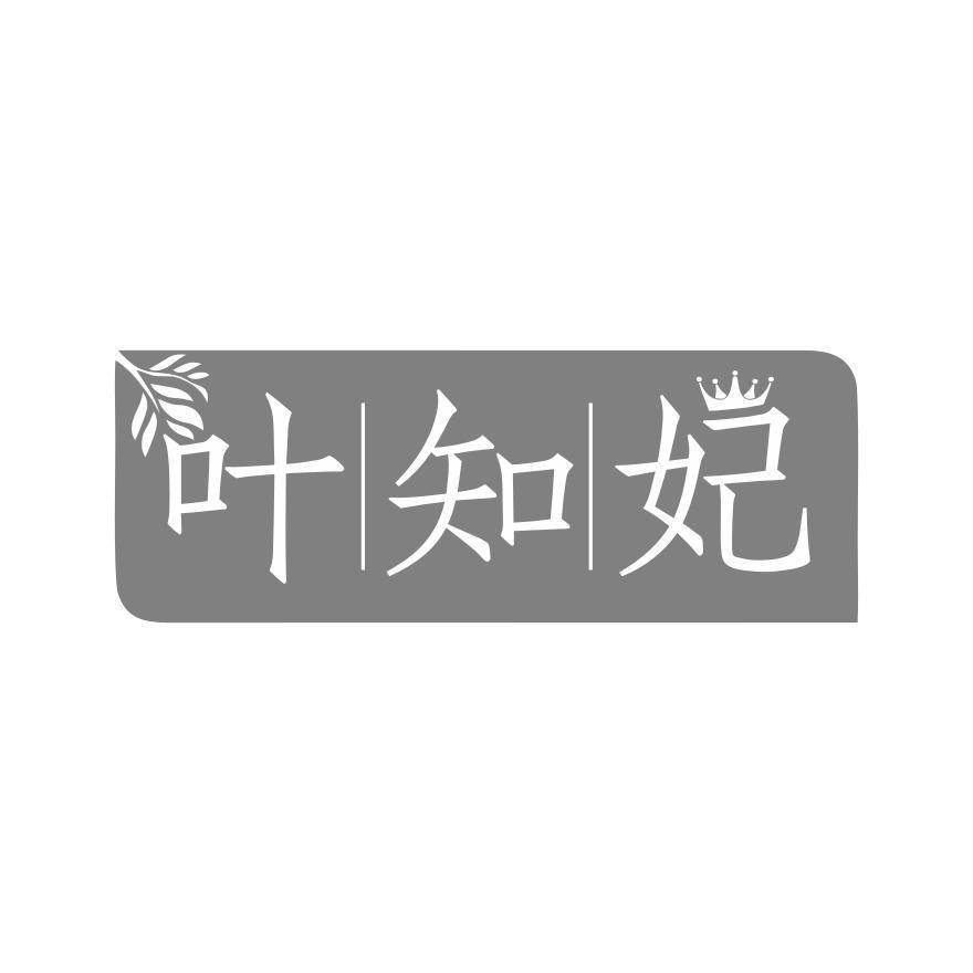 叶知妃