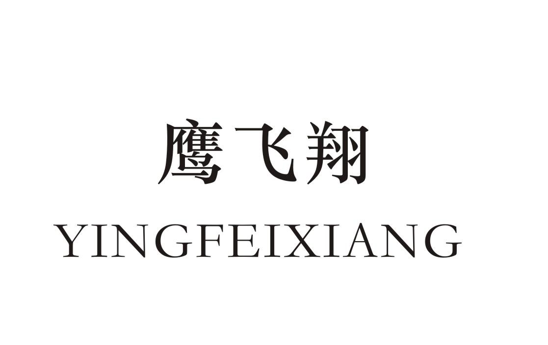 鹰飞翔