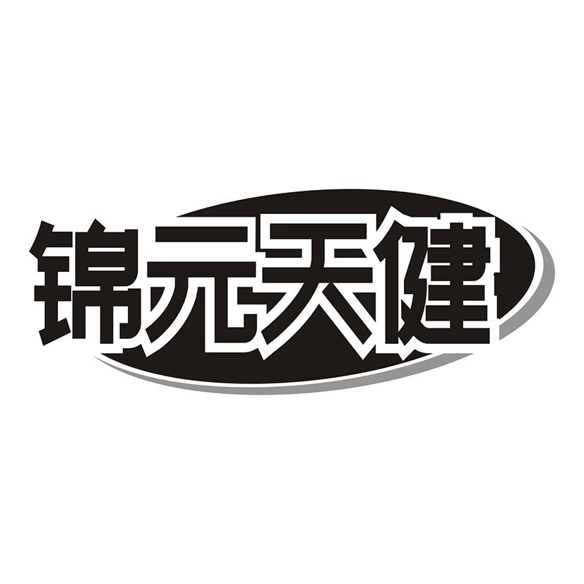 锦元天健