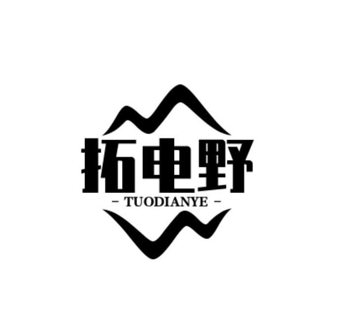 拓电野