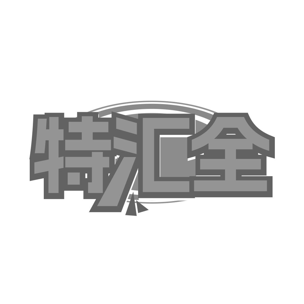 特汇全