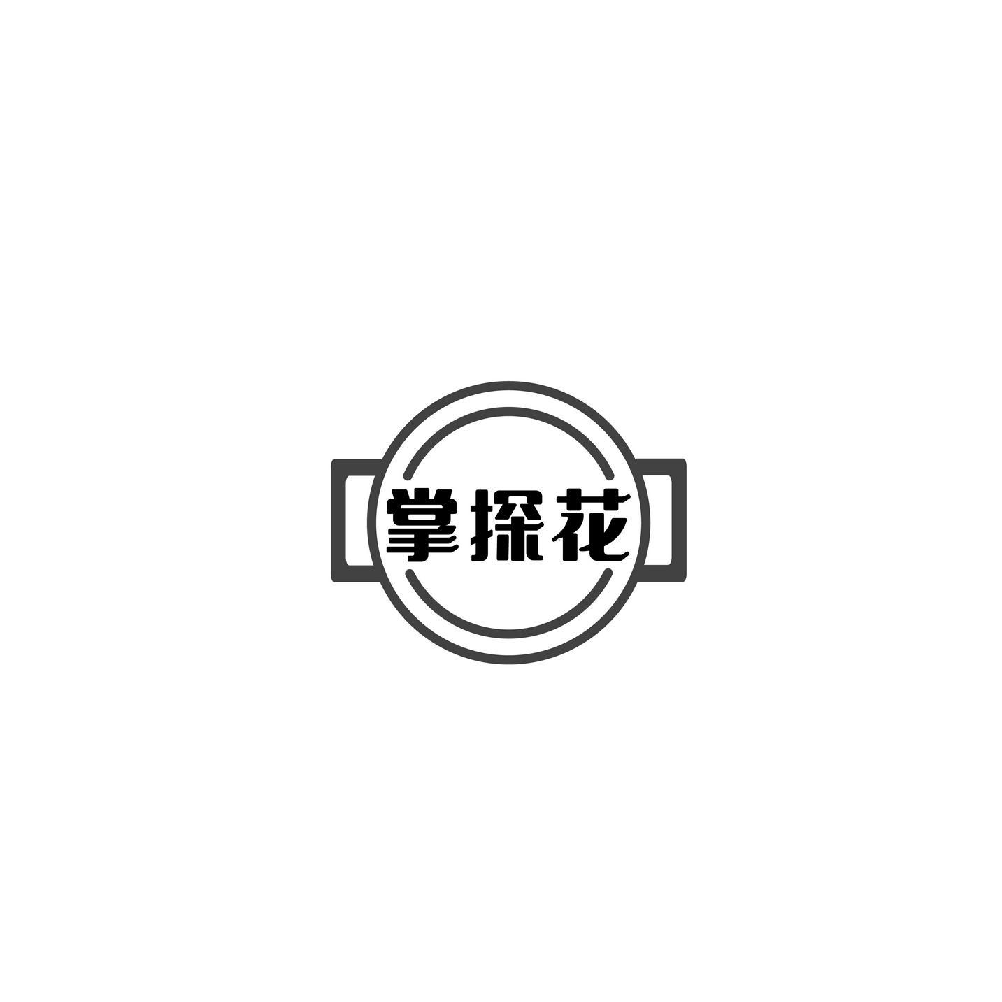 掌探花