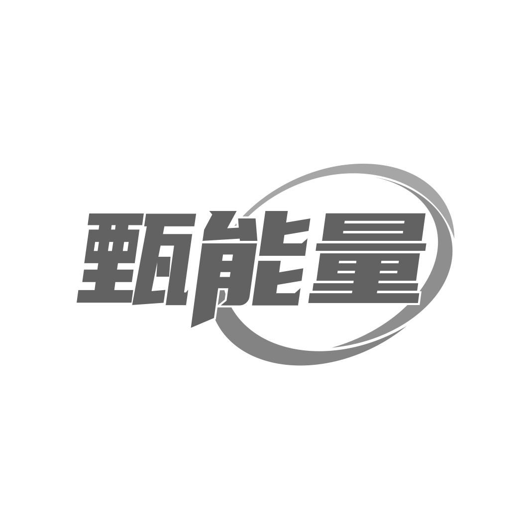 甄能量