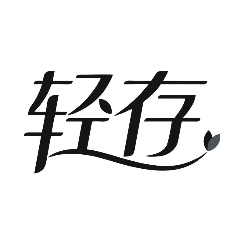 轻存