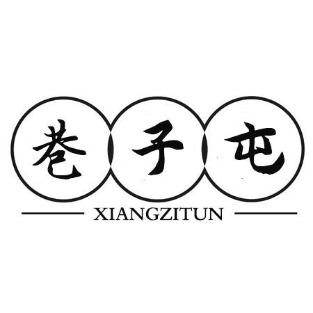 巷子屯