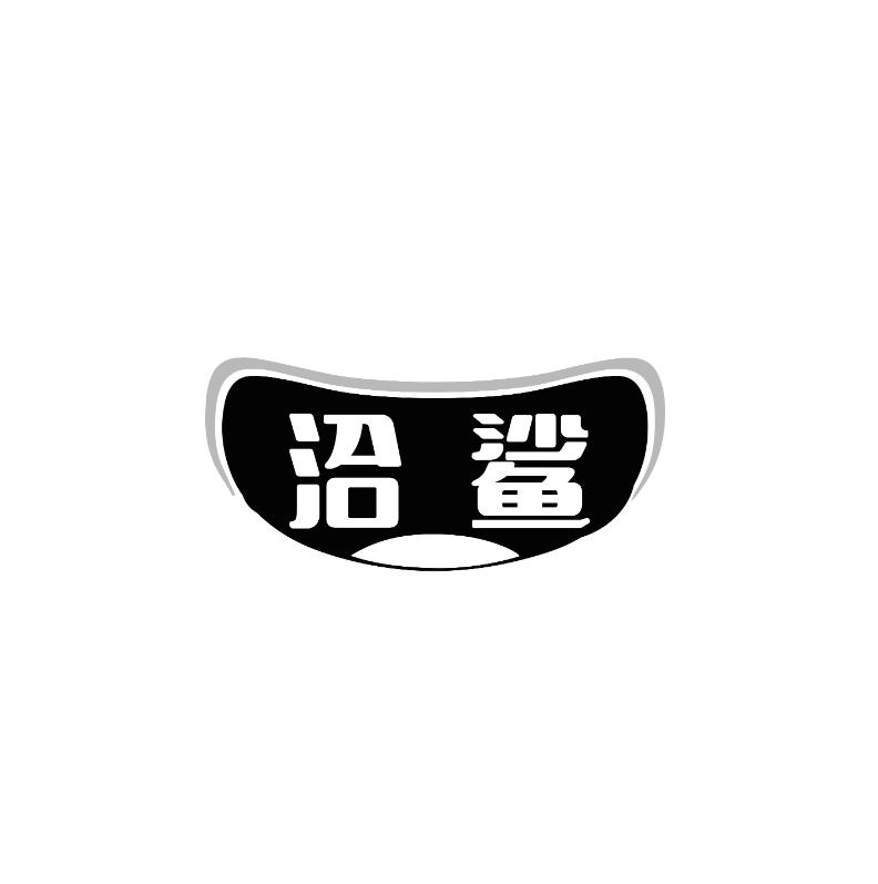 洽鲨