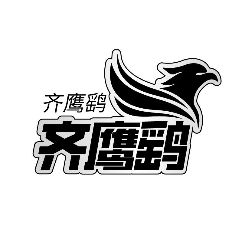 齐鹰鹞