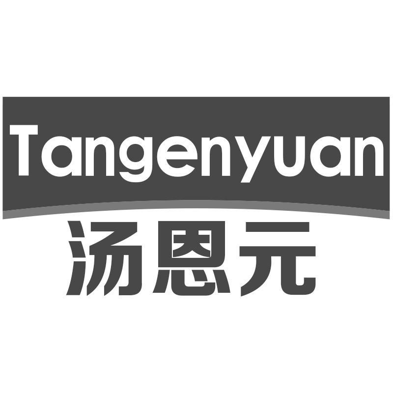 汤恩元