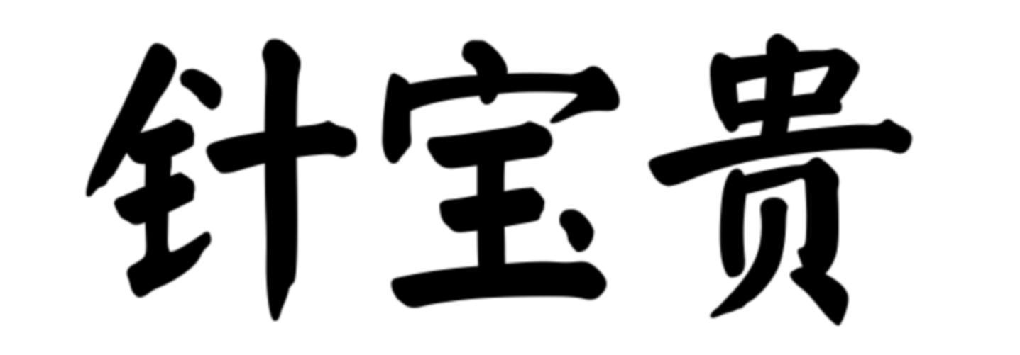 针宝贵