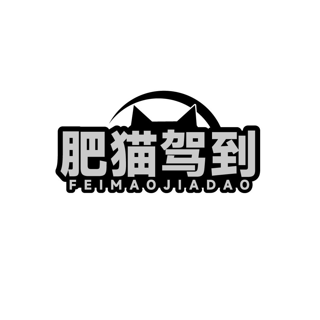 肥猫驾到FEIMAOJIADAO