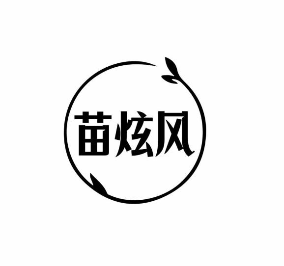 苗炫风