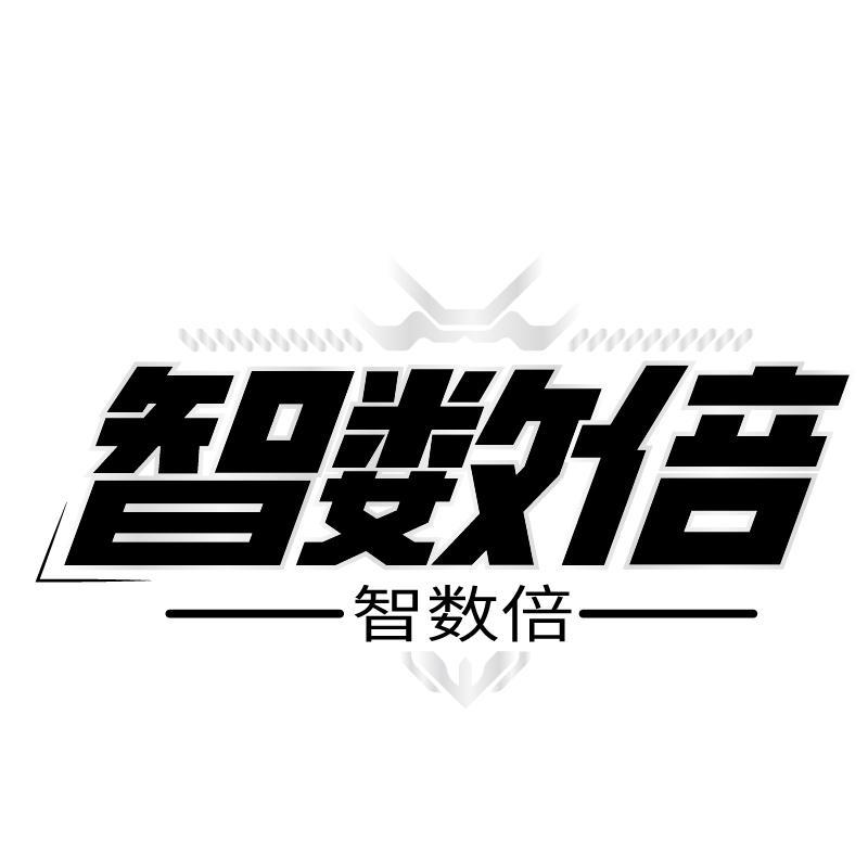 智数倍
