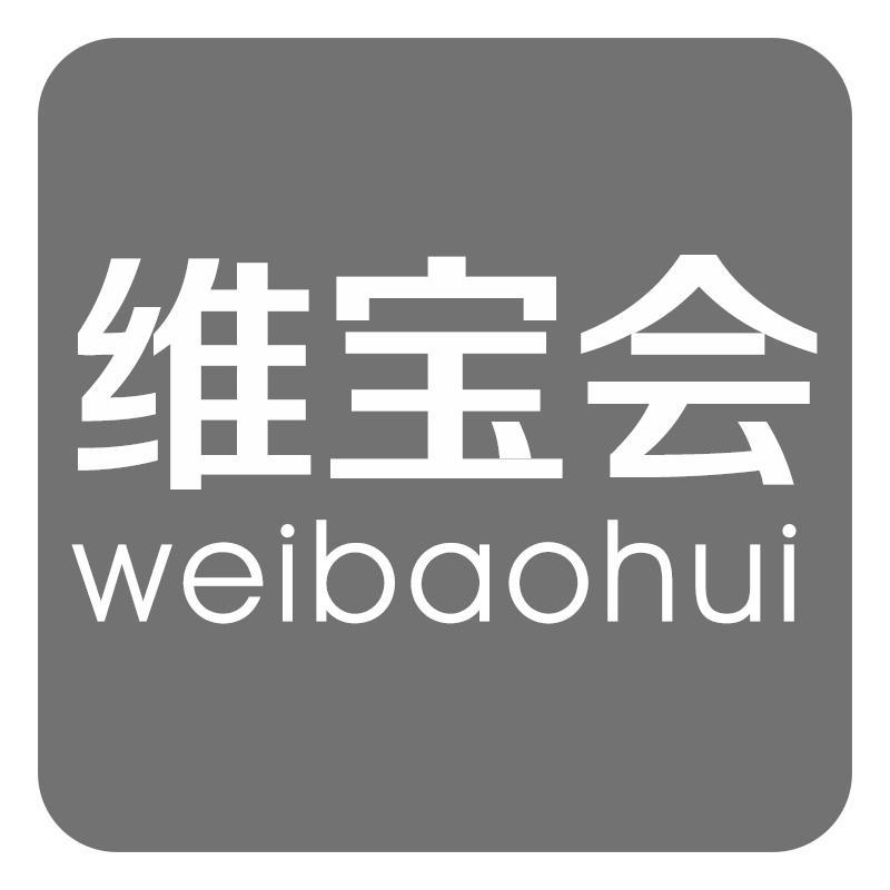 维宝会