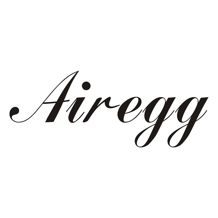 AIREGG
